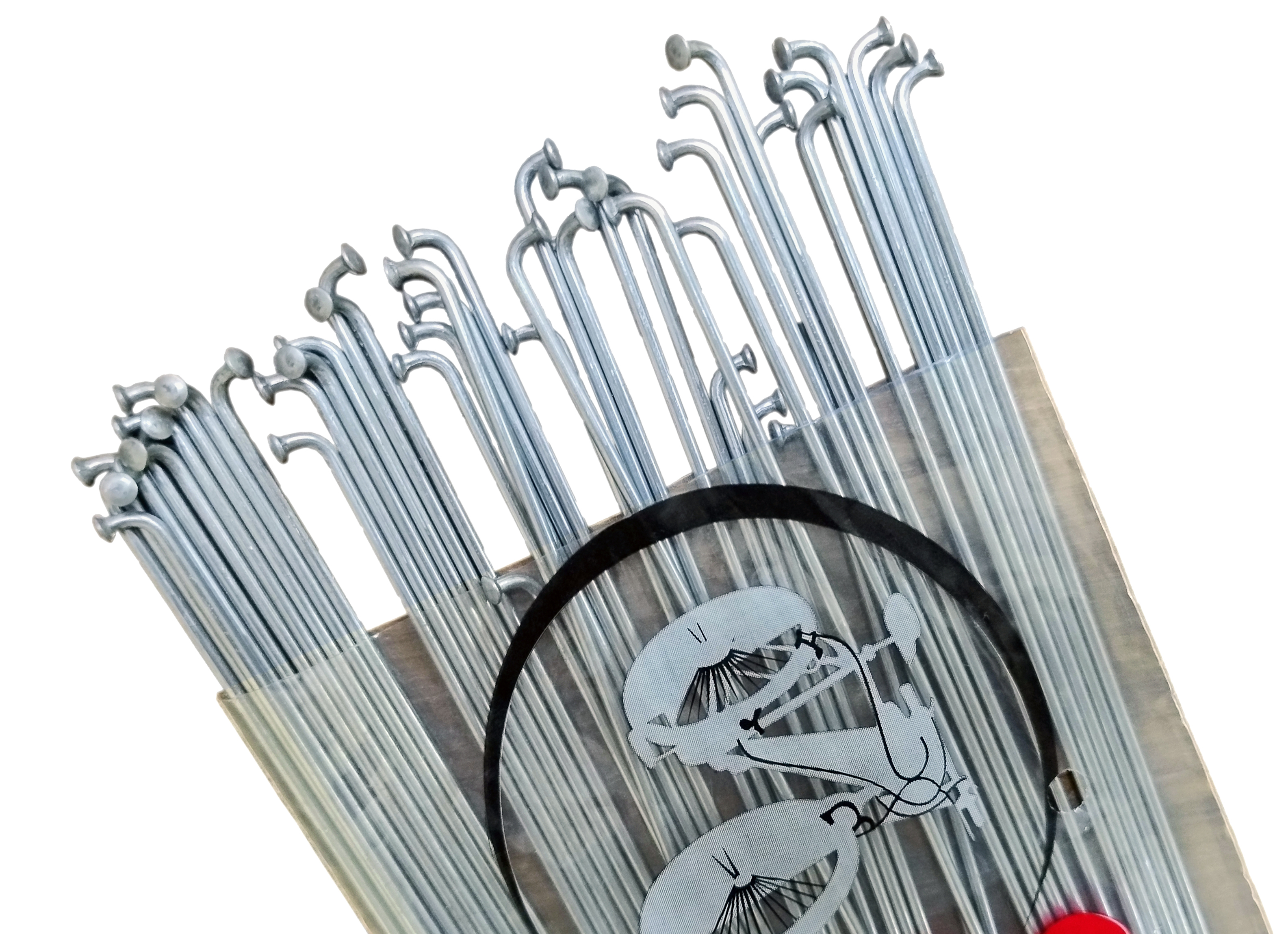 Raios para Bicicletas